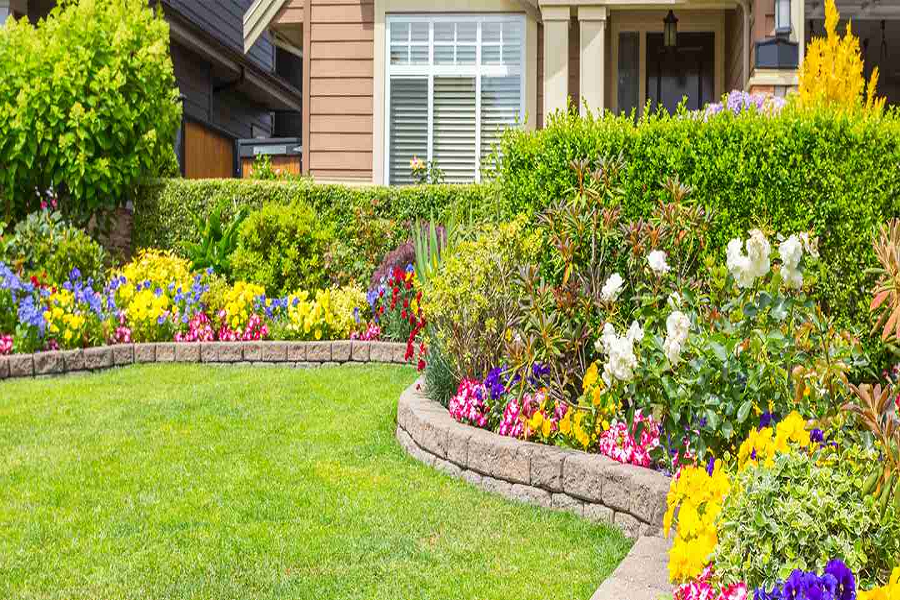 Professional Landscaping Service – Why Hire One?