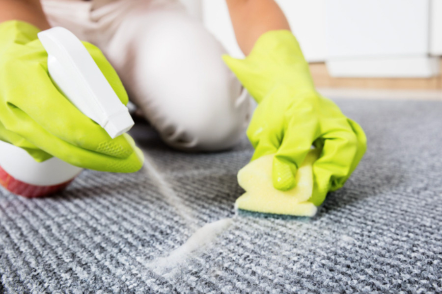 Carpet Stain Removal 101 What to Do and What Not to Do